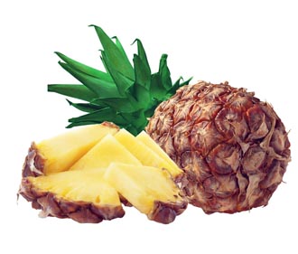 ������ ����