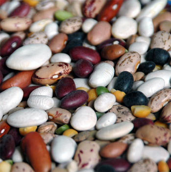 ������� ����� ����