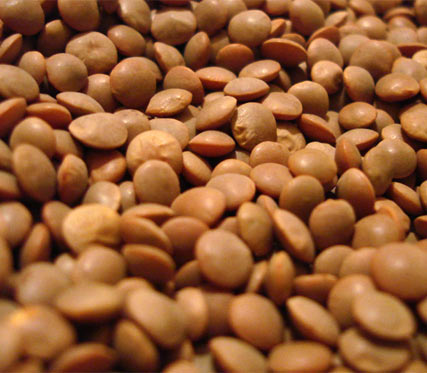 Чечевичная диета фото Чечевичная диета фото