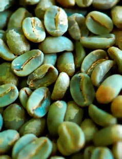 ���� ��� ���������