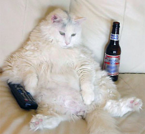 ����� ��� ������� ����