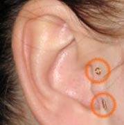 ����� ������� ����