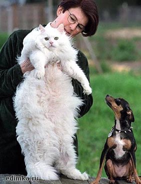 ����� ������ �����  ����