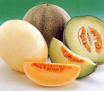 ������ ����� ����