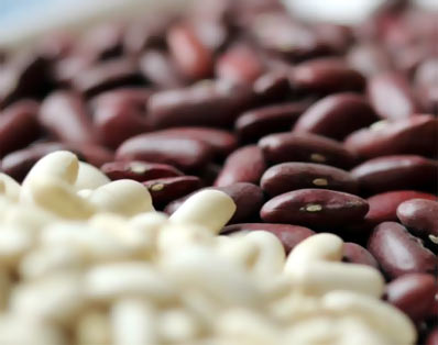 ��������� ����� ����