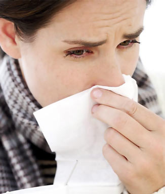 ��� ������ ��������