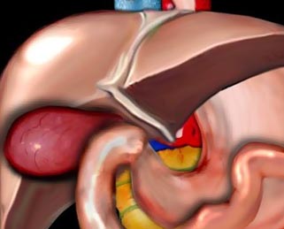 ����� ��� ����������� ����