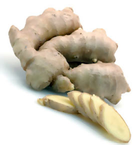 �������� ����� ����