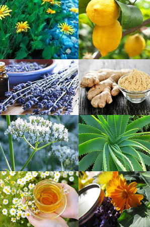 ��� �������� ��������� ��������� ����������. �������� ������� ��� ����������.