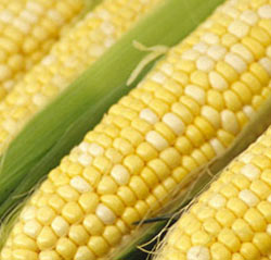 ���������� ����� ����