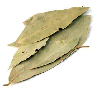 �������� ���� ��� ���������