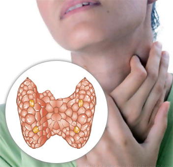 ������� ���������� ������. ��� ��������� � �� ��� �������� ���������� ������.  �������� ��������� ������, ����������� � ������������.