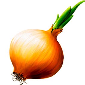 ������� ����� ����