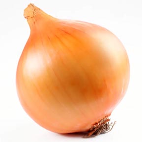 ����� � ������������� ������� ����� ����