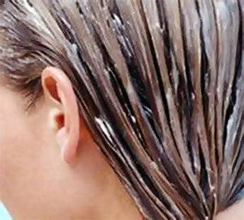 ����� ������ ��������� ����� � �������� ��������