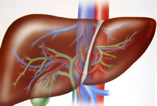 ������ ������ � �������� ��������