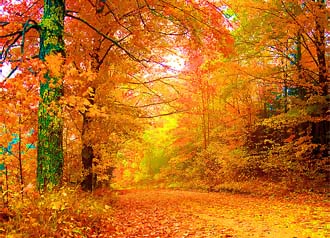 ������� ����� ����