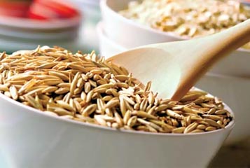 ������� ����� ����