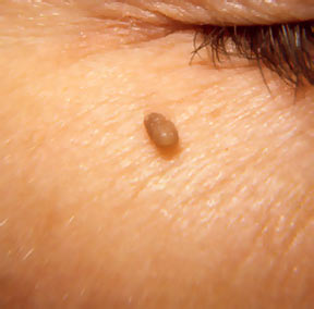 ��� ������� ��������� � �������� �������� ��������� ����������