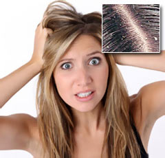 ��� ���������� �� �������