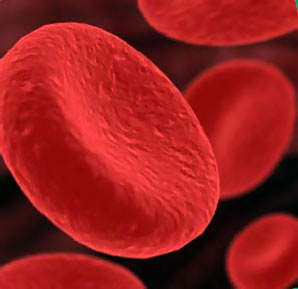 ��� ������� ���������