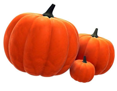 ��� ������� �����