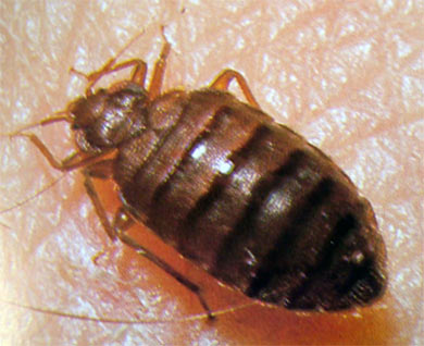 ��� ���������� �� ������ � ��������. ��� ���������� ���������� �����, �������� � ������ � �������� ��������.