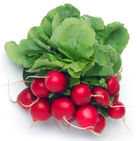 ����� ��� ���������