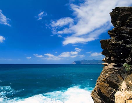 ����������������� ����� ����