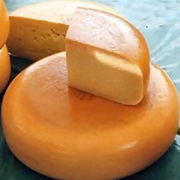 ������ ����� ����