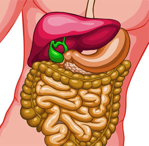 ����� ����� �������� �������� ������ ����