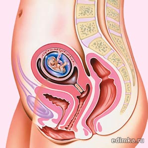 10 ������ ������������ ����