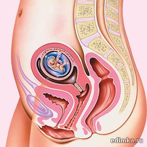 11 ������ ������������ ����