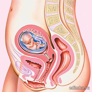 12 ������ ������������ ����