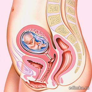 13 ������ ������������ ����