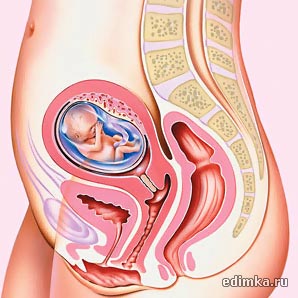 14 ������ ������������ ����