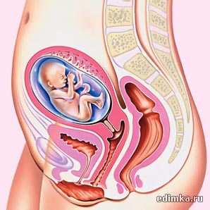 16 ������ ������������ ����