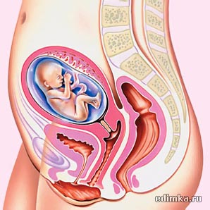 19 ������ ������������ ����