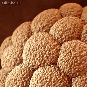 2 ������ ������������ ����