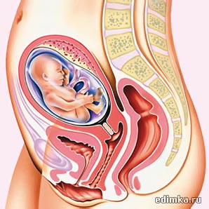 20 ������ ������������ ����