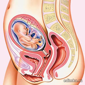 22 ������ ������������ ����