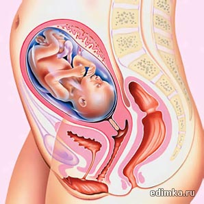 24 ������ ������������ ����