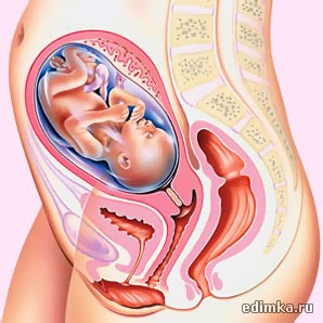 27 ������ ������������ ����