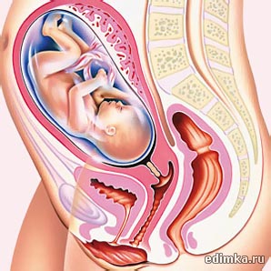 28 ������ ������������ ����