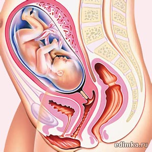 29 ������ ������������ ����