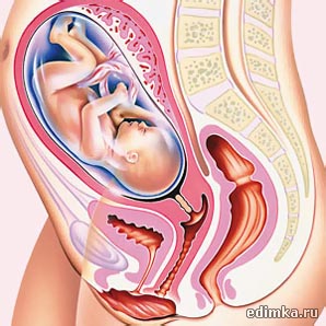 30 ������ ������������ ����