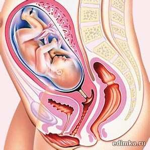 31 ������ ������������ ����