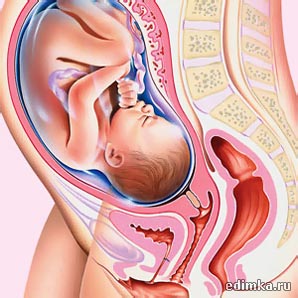 32 ������ ������������ ����