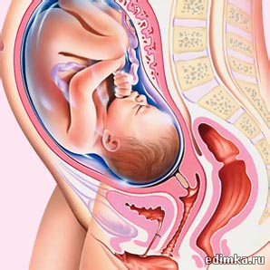 33 ������ ������������ ����