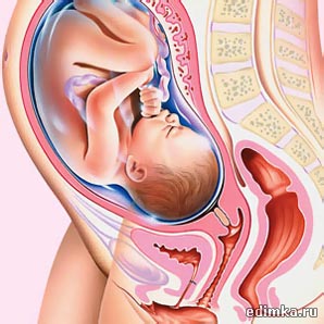 34 ������ ������������ ����